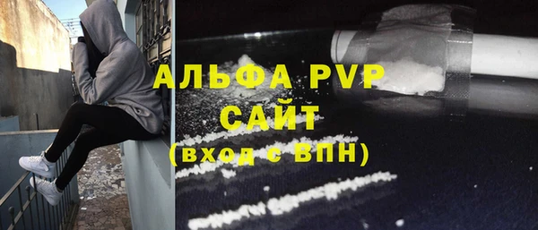 гашик Арсеньев