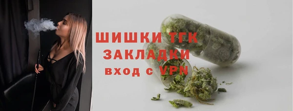 гашик Арсеньев