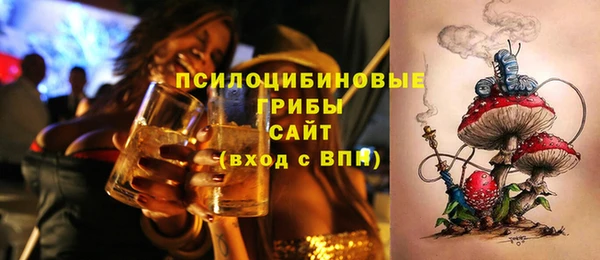 шишки Балахна